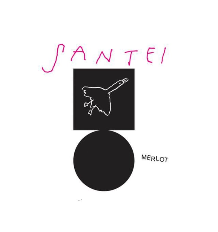 Merlot - Santei Biodynamic Wines - matej-bizjak-family 