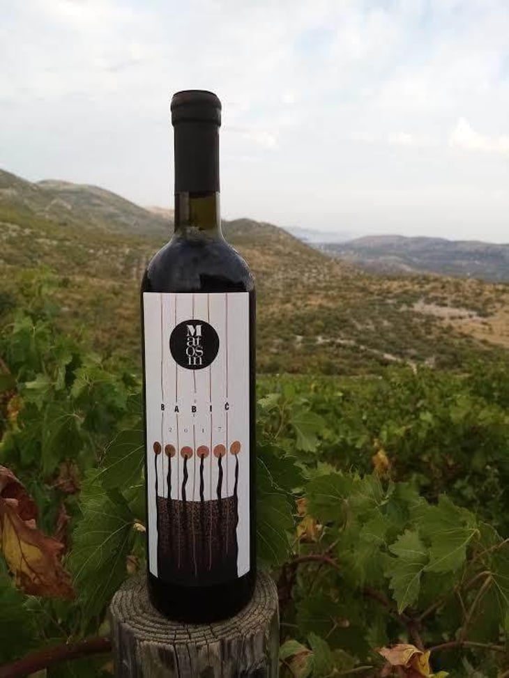 Babić - Matosin Winery - ivo-matosin-yt 