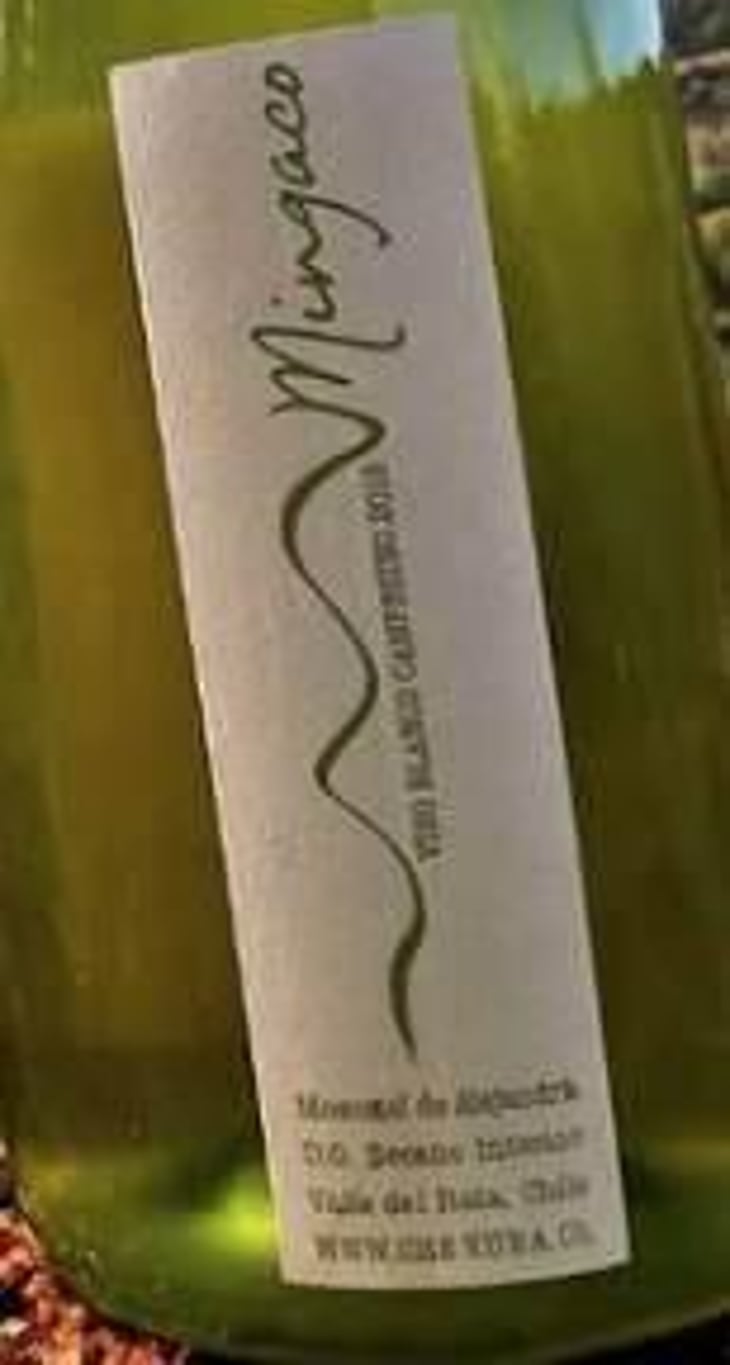 Mingaco Moscatel de Alejandria - Vinos Mingaco - Chekura - pablo-pedreros-daniela-de-pablo-mendoza 
