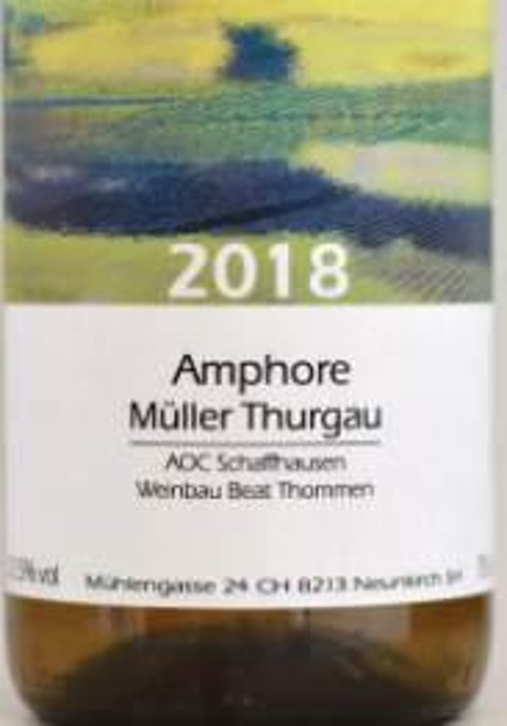 Muller-Thurgau Amphore - Weinbau Beat Thommen - beat-thommen 
