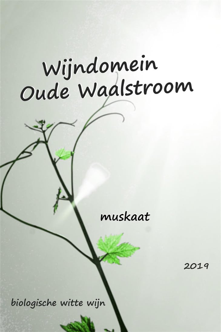 Muskaat - Wijndomein Oude Waalstroom - huib-overmars-lotte-rippen 