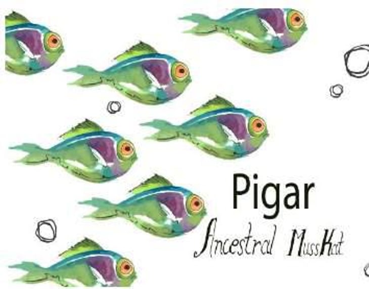 MussKat Ancestral - Bodegas Y Viñedos Pigar - juan-piqueras-susana-lopez 