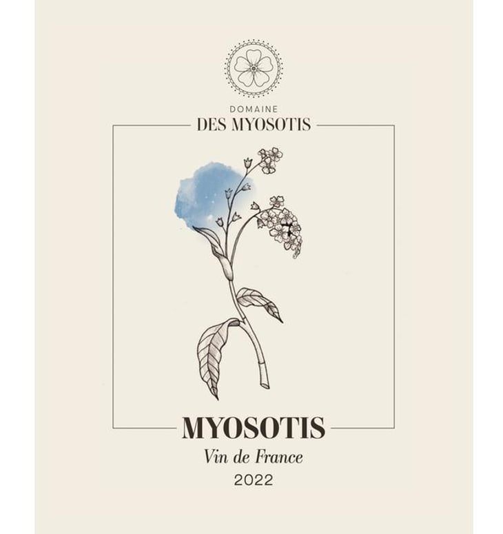 Myosotis