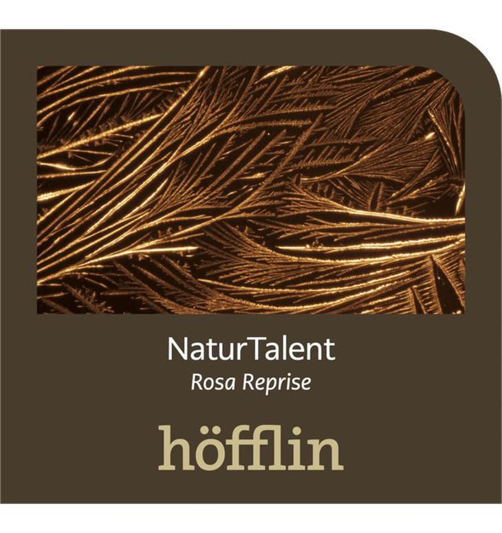 NaturTalent Rosa Reprise - Weingut Höfflin - matthias-und-julius-hofflin 