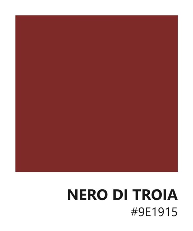 Nero di Troia - Tenuta Demaio - antonio-demaio -2020