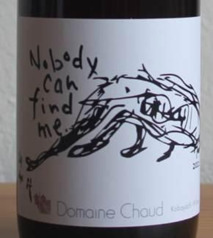 Nobody Can Find Me - Domaine Chaud - hideo-kobayashi 