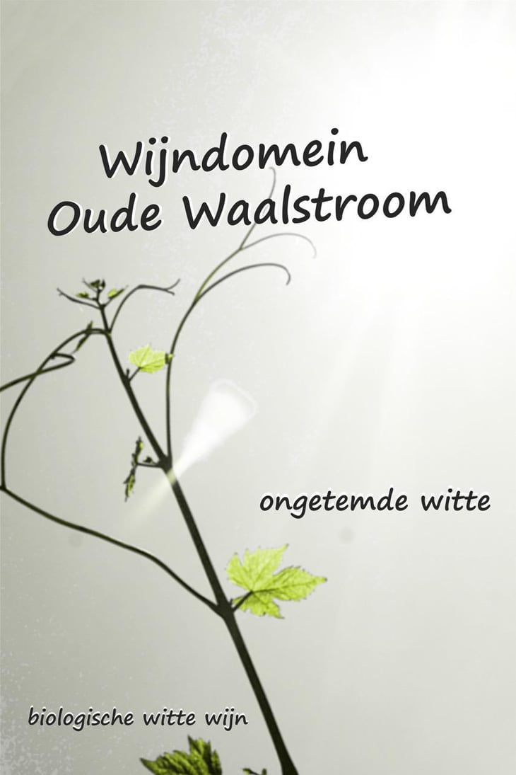 Ongetemde Witte - Wijndomein Oude Waalstroom - huib-overmars-lotte-rippen 