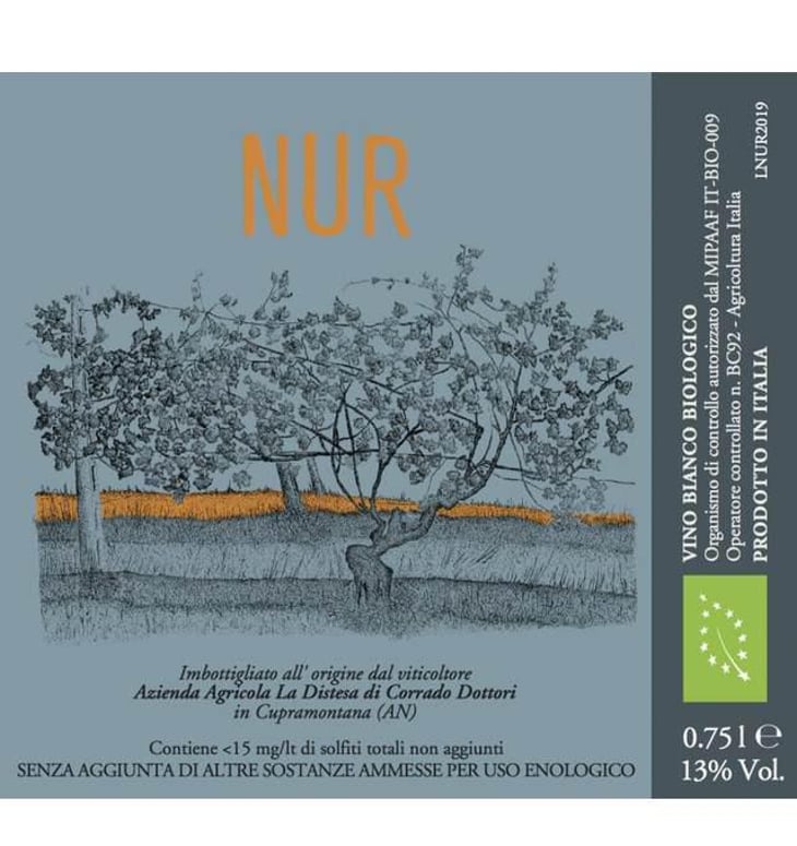 Nur - La Distesa - corrado-dottori 