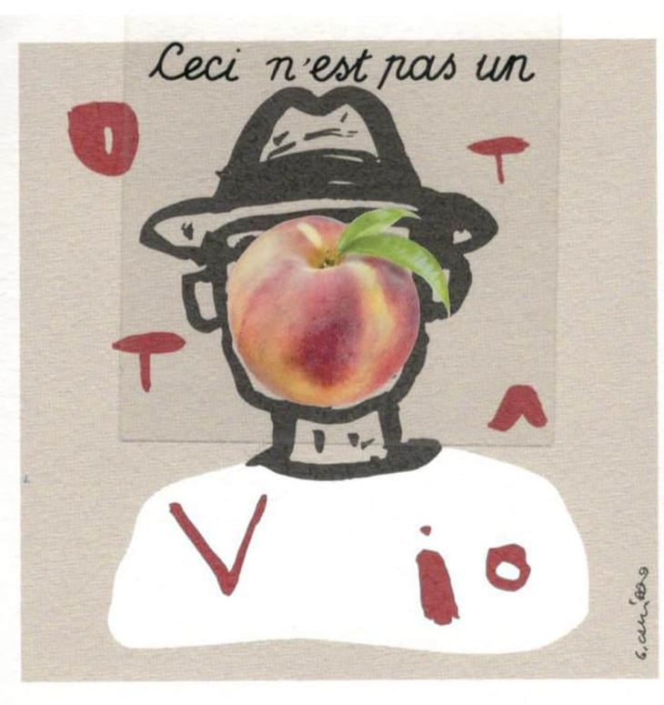 Ottavio A.Vingarde - Cascina Tavijn - nadia-verrua 