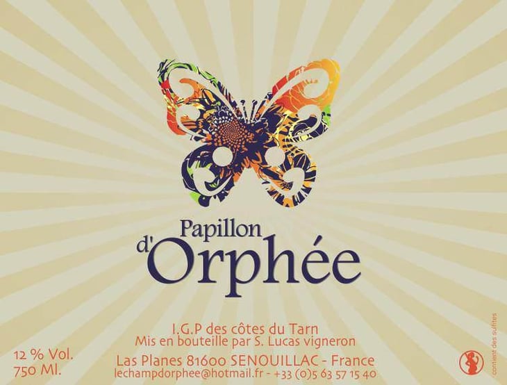 Papillon d'Orphée