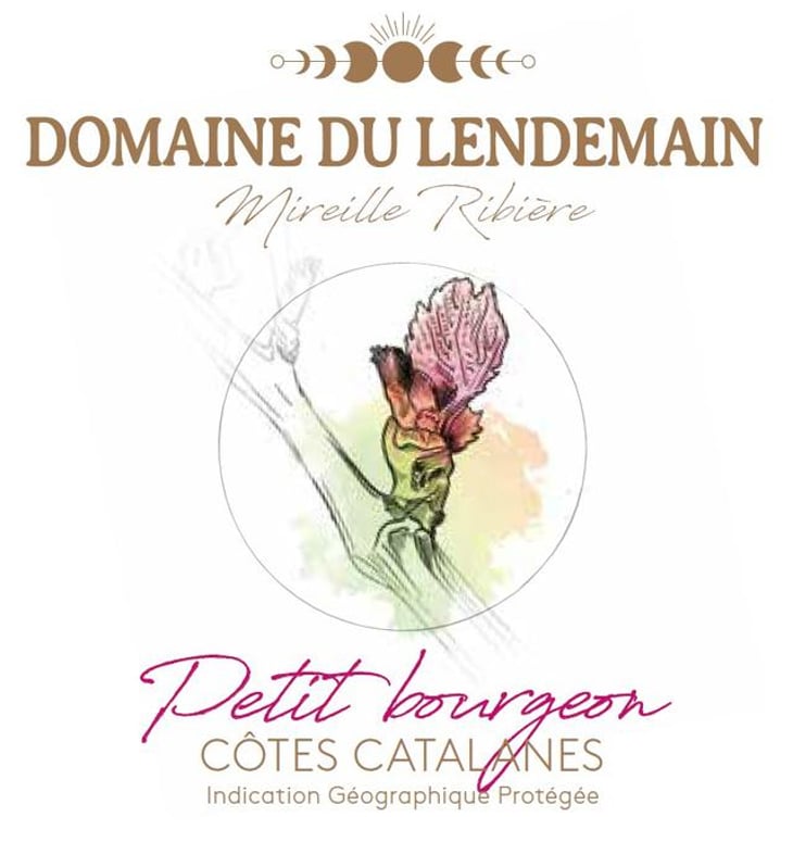 Petit Bourgeon - Domaine du Lendemain - mireille-ribiere 
