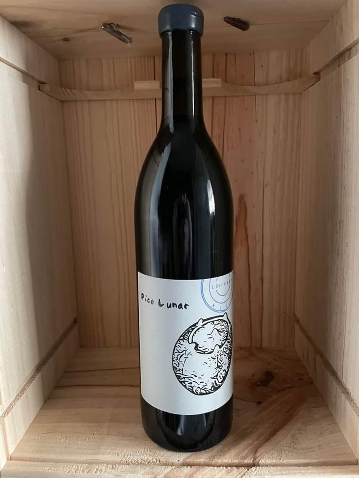 PICO LUNAR MLOT - Vinos Malaparte - elisa-de-frutos-ruben-salamanca 