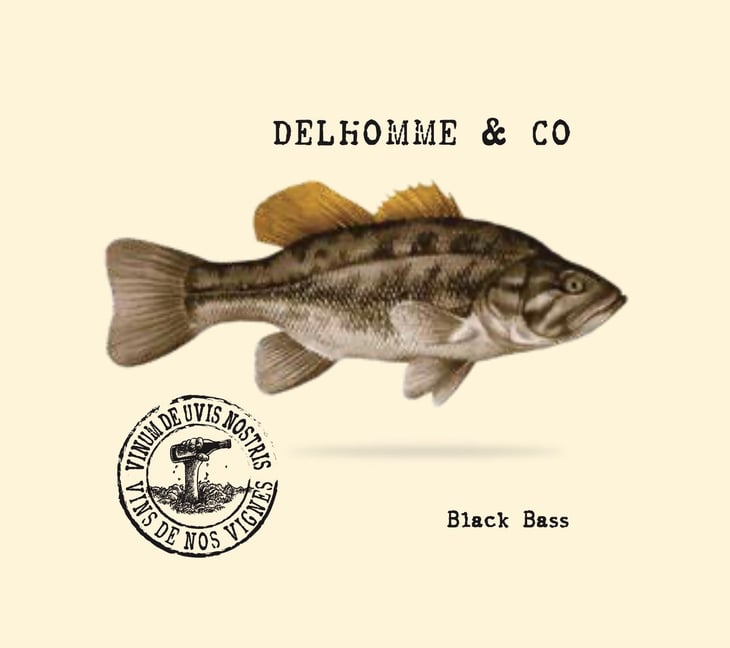 Pifounours - Delhomme & co - baptiste-delhomme 
