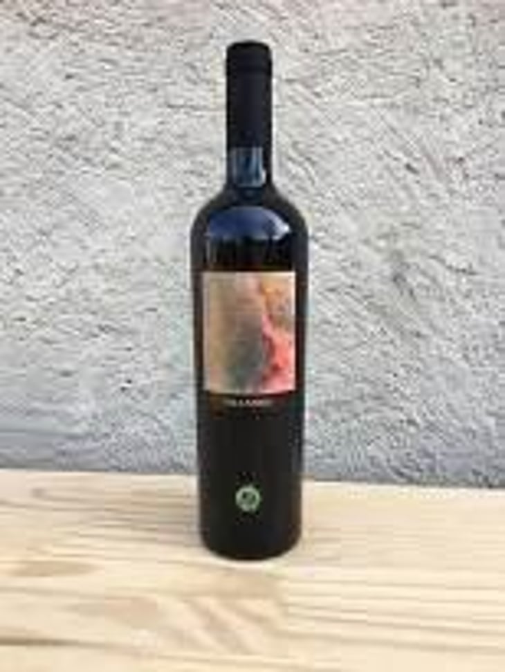 Pilandra - Azienda Vinicola Falzari - sergio-falzari 