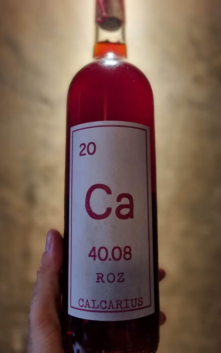 Roz - Valentina Passalacqua - valentina-passalacqua -2019