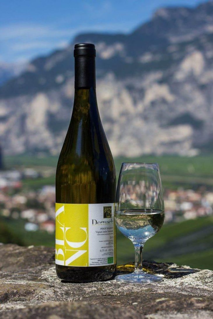 Blanc - Ansitz Dornach - patrick-karoline-uccelli 