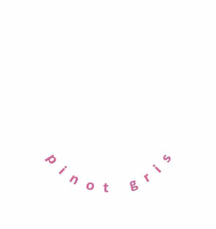 Pinot gris - Sophie Evans - sophie-evans 