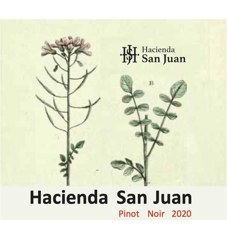 Pinot Noir - Hacienda San Juan - francisco-freire 