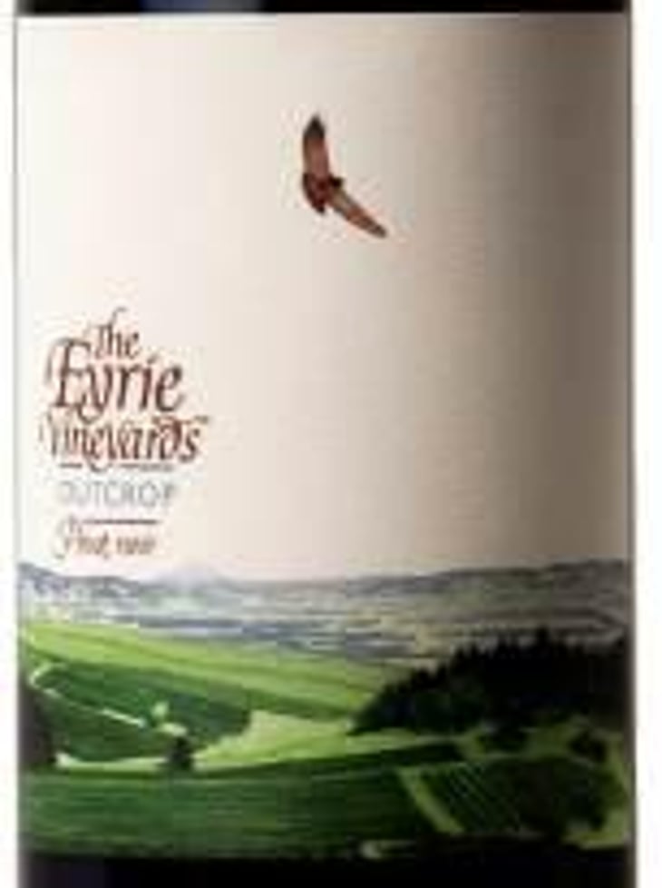 Pinot Noir Outcrop Vineyard - The Eyrie Vineyards - jason-lett 