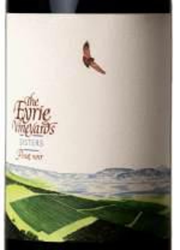 Pinot Noir Sisters Vineyard - The Eyrie Vineyards - jason-lett 