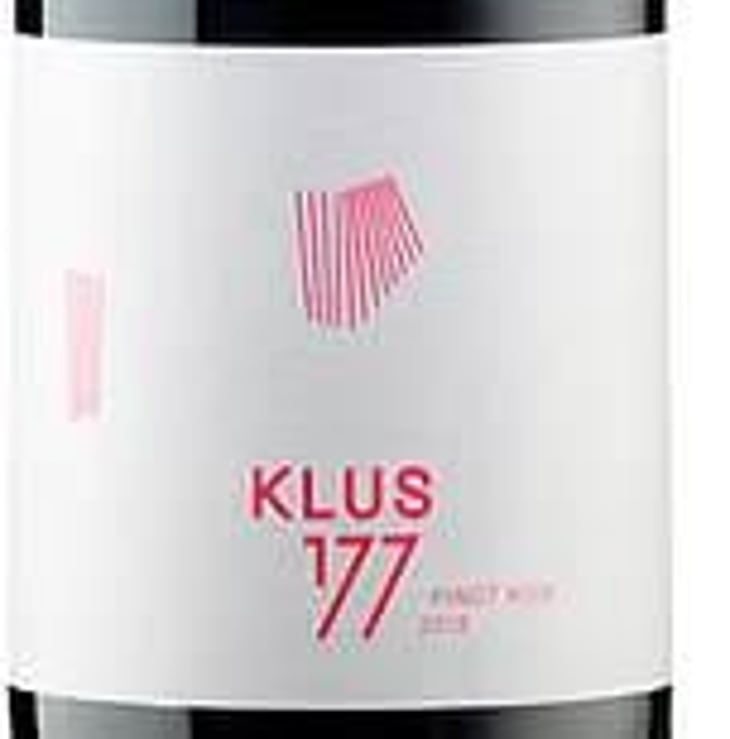 Pinot Noir - Klus 177 - antoine-kaufmann 