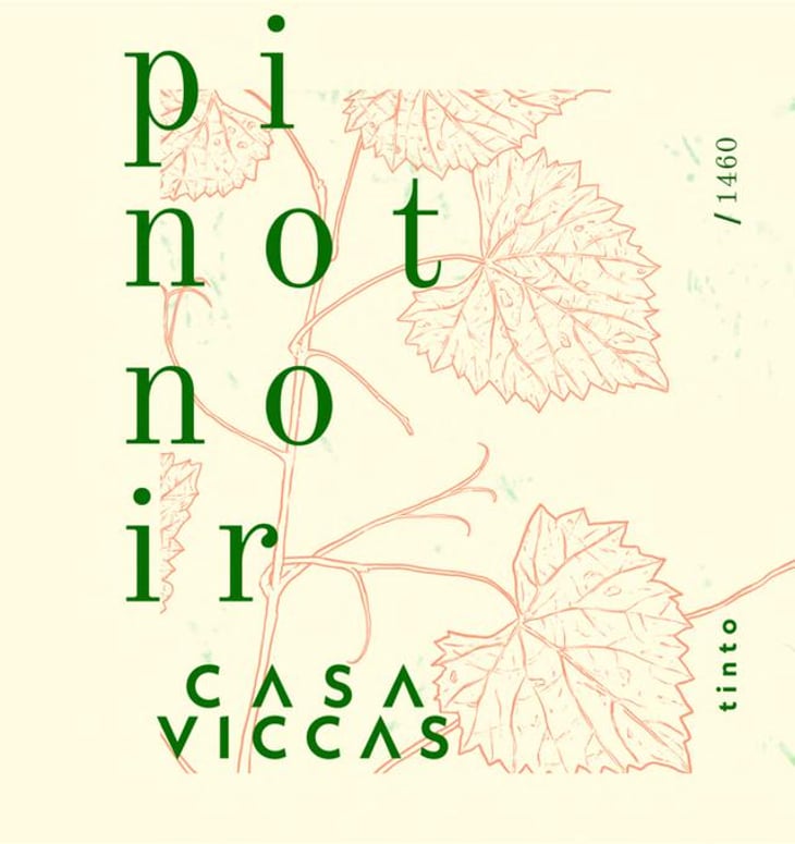 Pinot Noir - Casa Viccas - sara-valar-e-vivian-vitorelli 