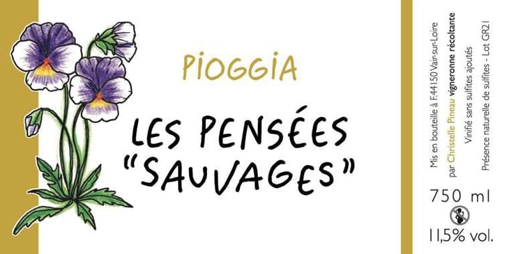 Pioggia - Les Pensées "sauvages" - christelle-pineau 