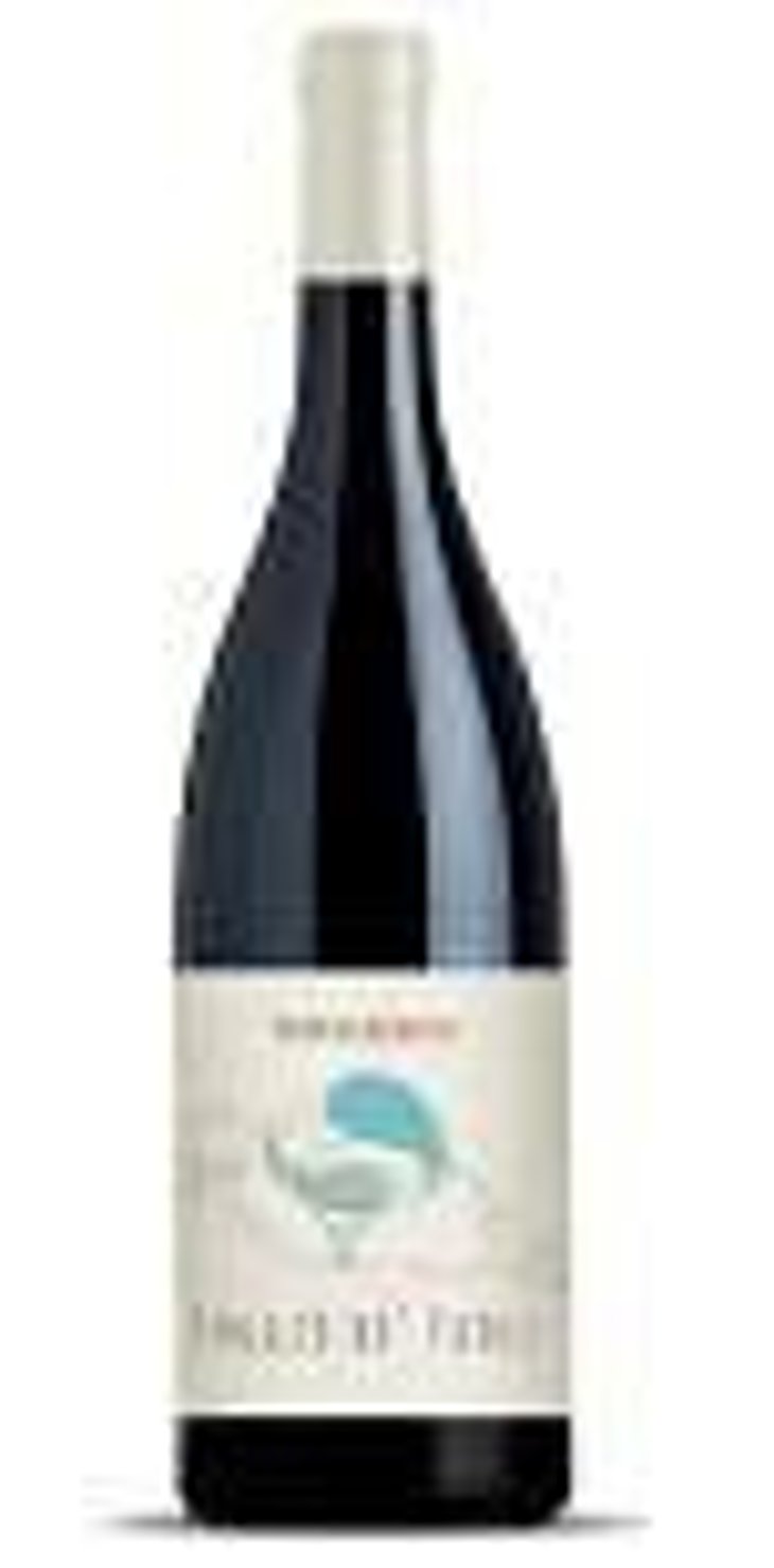 Poggio de Paoli - Tenuta Lenzini - benedetta-tronci-michele-guarino 