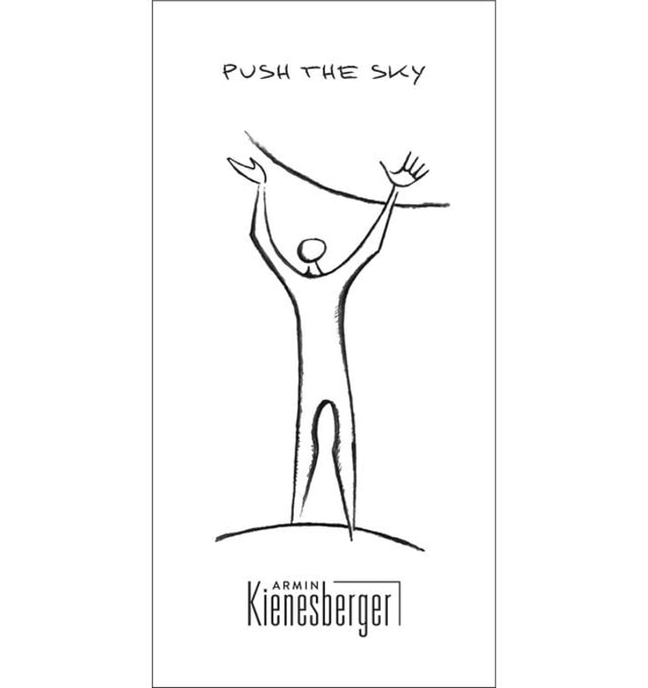 Push the sky - Armin Kienesberger – Biodynamischer Weinbau - armin-kienesberger 