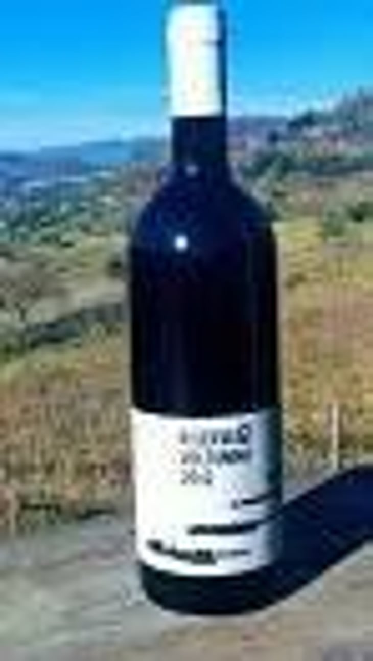 QUERCIOLO - Voltumna - marzio-politi 