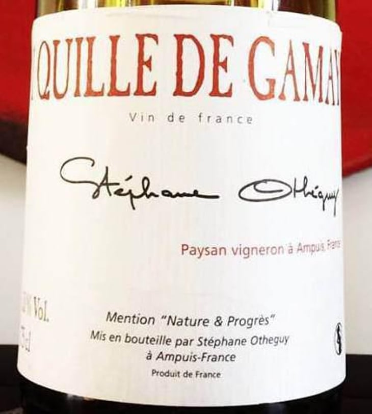 Quille de Gamay - Domaine Otheguy - stephane-otheguy 