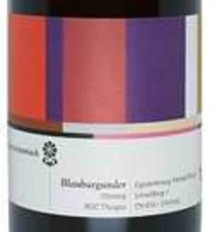 "Brogerdynamisch - Ottoberg" - Pinot Noir - Michael Broger Weinbau - michael-broger 