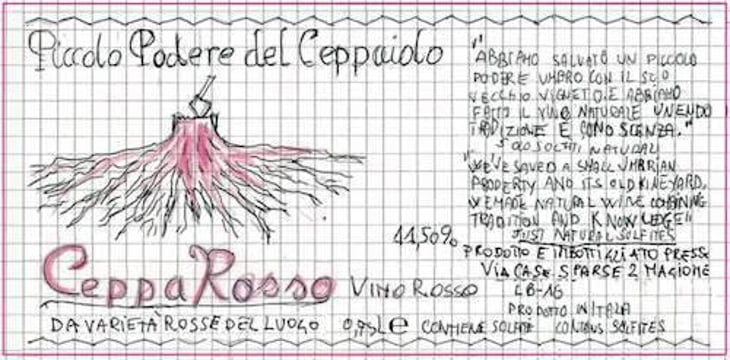 Ceppa Rosso - Piccolo Podere del Ceppaiolo - danilo-marcucci-riccardo-pennaforti 