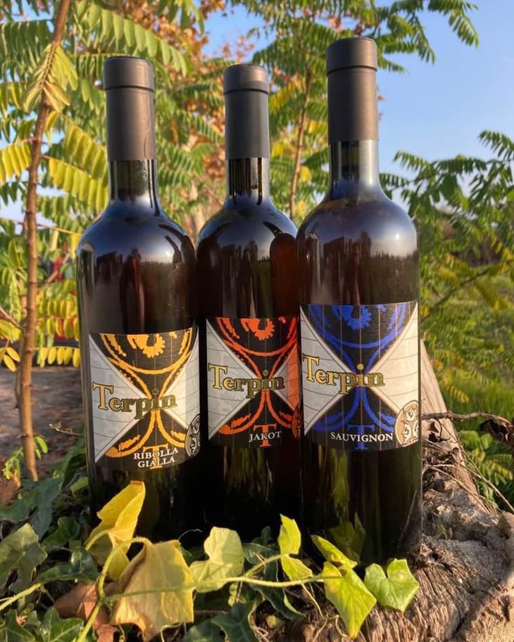 Ribolla Gialla, Jacot, Sauvignon - Azienda Agricola Franco Terpin - franco-terpin 