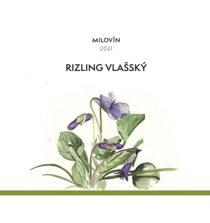 Rizling Vlašský - Vinárstvo Milovín - marek-tomas-cielontko 