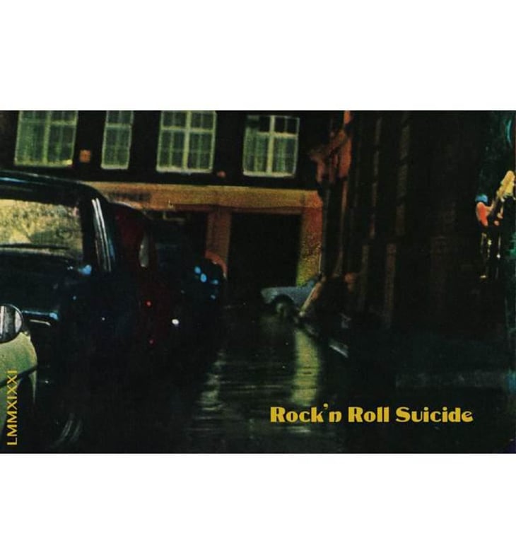 Rock N Roll Suicide