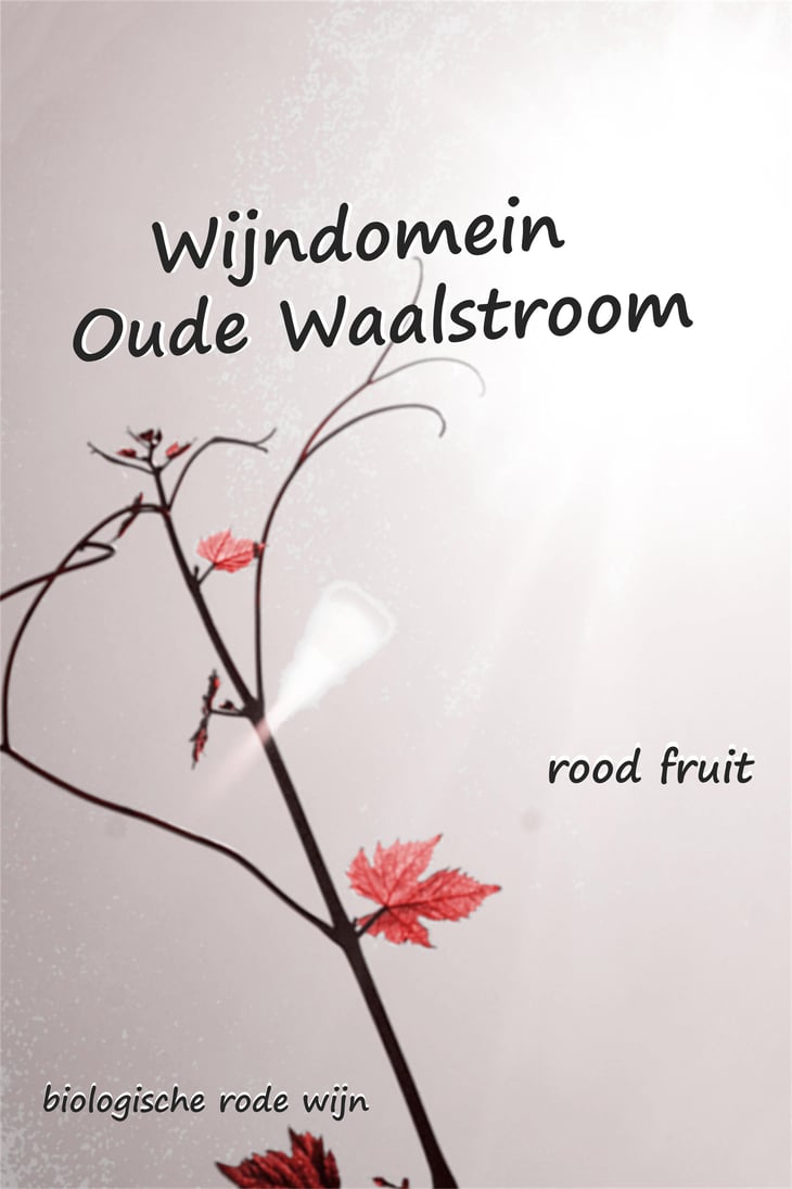 Rood fruit - Wijndomein Oude Waalstroom - huib-overmars-lotte-rippen -19