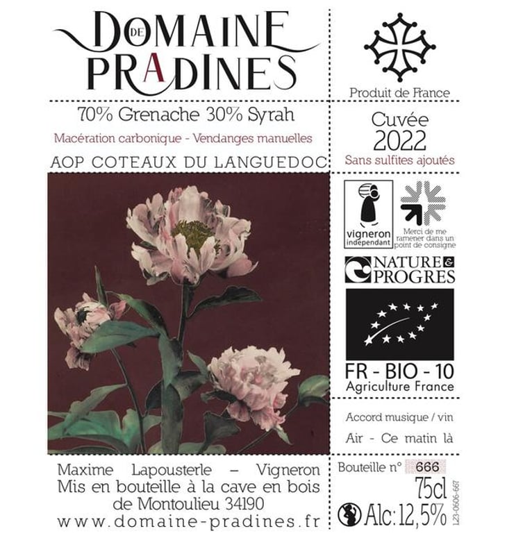 Rouge 2022 - Domaine de Pradines - maxime-lapousterle 