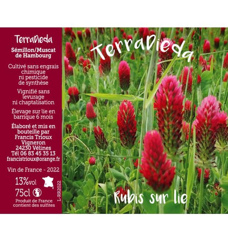 Rubis sur lie - Domaine Terra Dieda - francis-trioux 