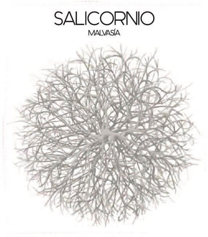 Salicornio Malvasia - Finca Casa Balaguer - marta-ribera-andres-carull 