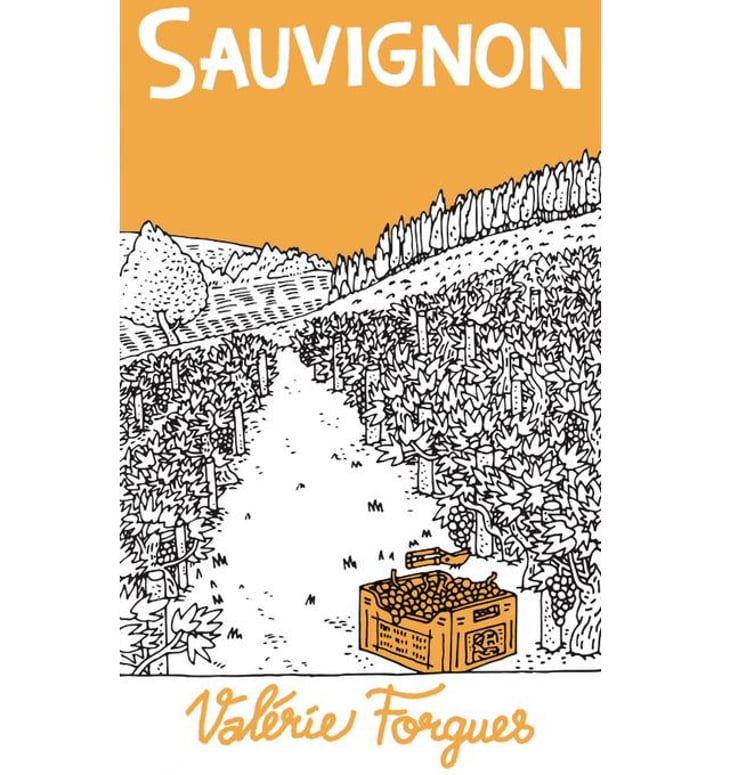 Sauvignon (old label) - Domaine de la Méchinière - louis-et-valerie-forgues -2021