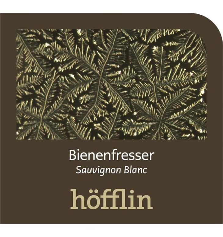Bienenfresser Sauvignon Blanc - Weingut Höfflin - matthias-und-julius-hofflin 