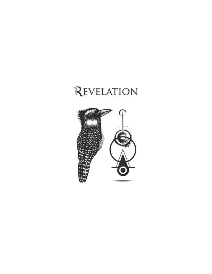 Sauvignon - Revelation - francois-ribaud 
