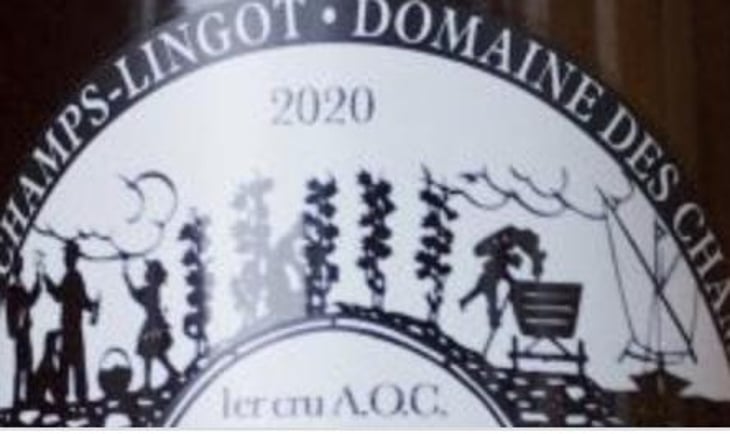 Sauvignon Sauvage - Domaine des Champs-Lingots - claude-alain-chollet 