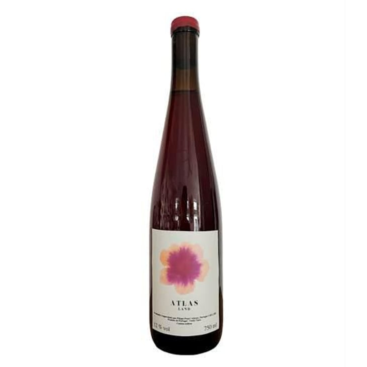 Selva - Atlasland - filippo-pozzi-8n -2021