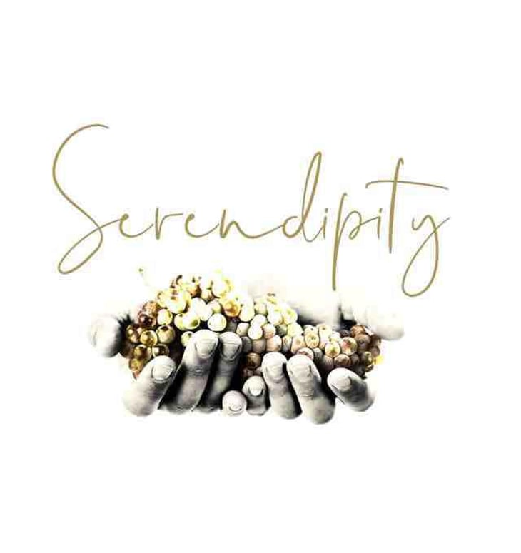 Serendipity - Bodega Toral - pablo-toral-gomez 