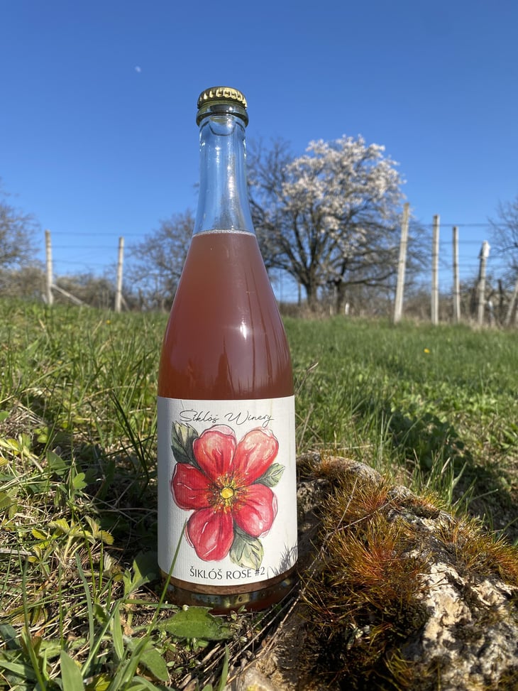 Šiklóš Rose - Šiklóš Winery - viktor-sipos -2022