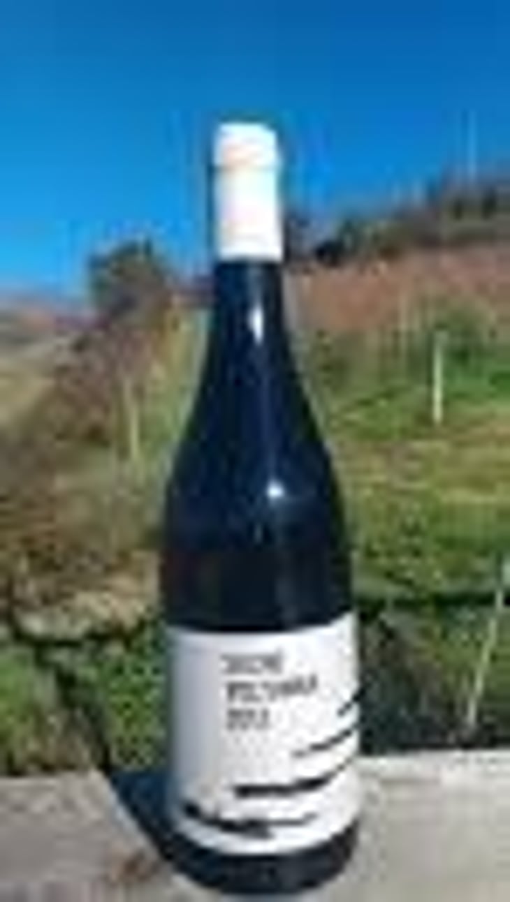 SILENE - Voltumna - marzio-politi 