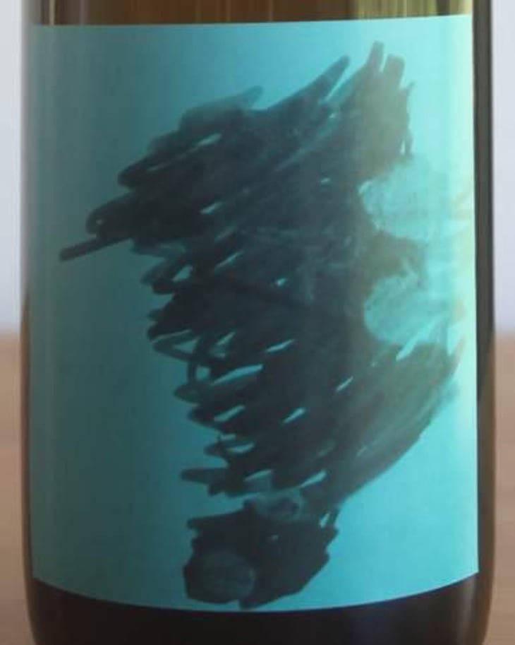 skin dive - Domaine Chaud - hideo-kobayashi 