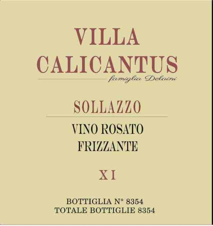 SOLLAZZO - Villa Calicantus - daniele-e-chiara-delaini 